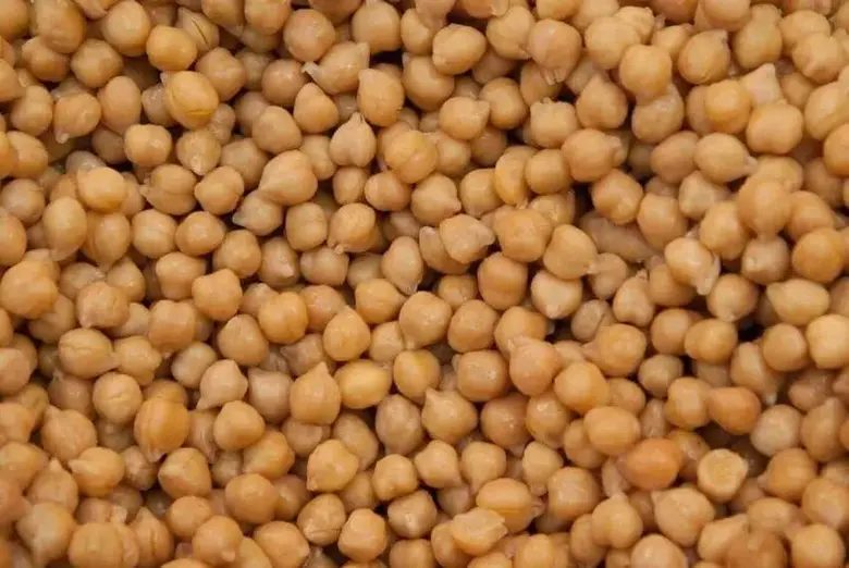 Can chickpeas be frozen? - Storage Guide