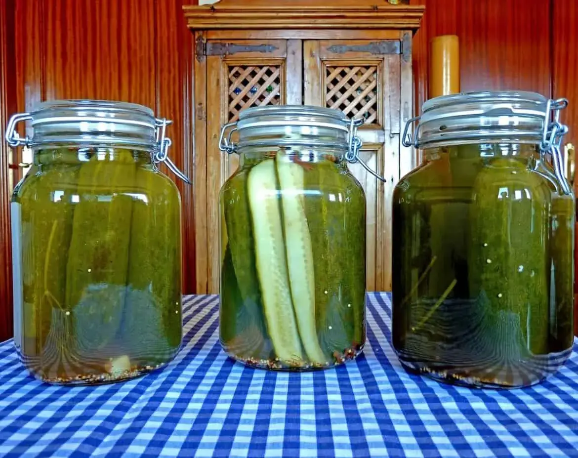 Can pickles be frozen? - What to do instead?