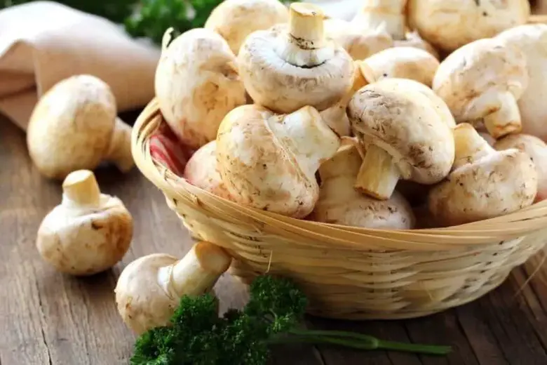 Can you freeze fresh mushrooms? - What to do instead?