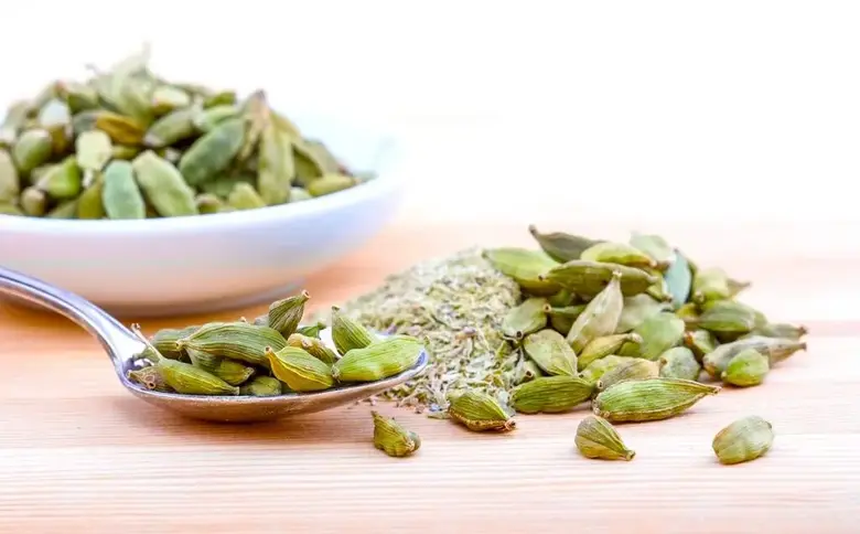 cardamom vs. Coriander - What's the difference?