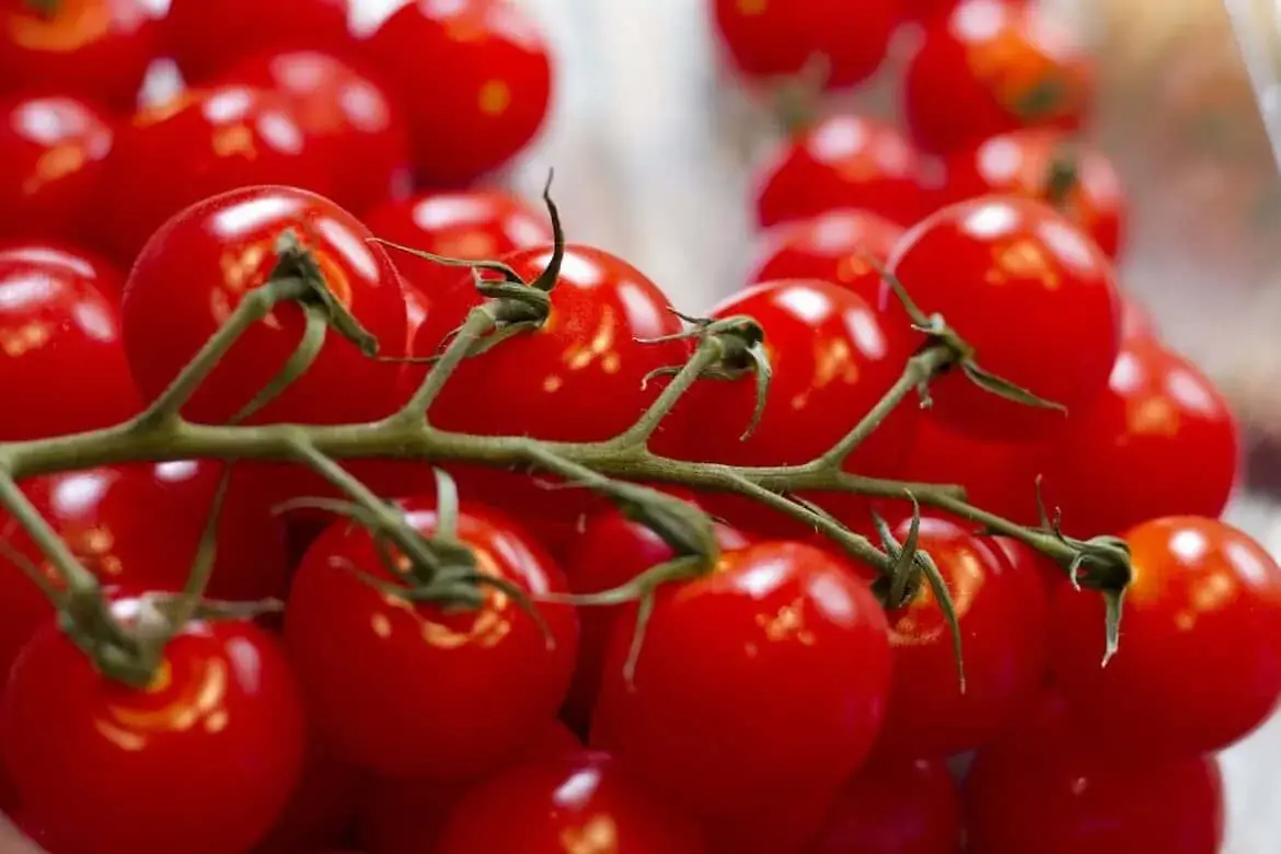 How to preserve grape tomatoes