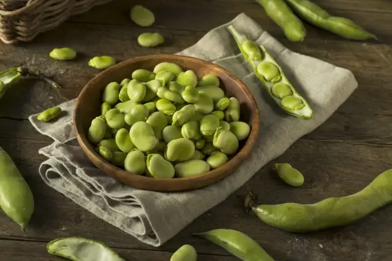 Lima beans vs. Beans - What's the difference?