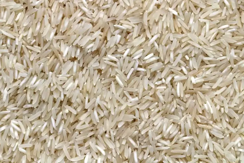 Long Term Rice Storage - The Definitive Guide