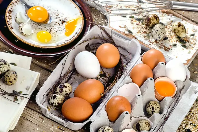 Quail eggs and chicken eggs - what is the difference?