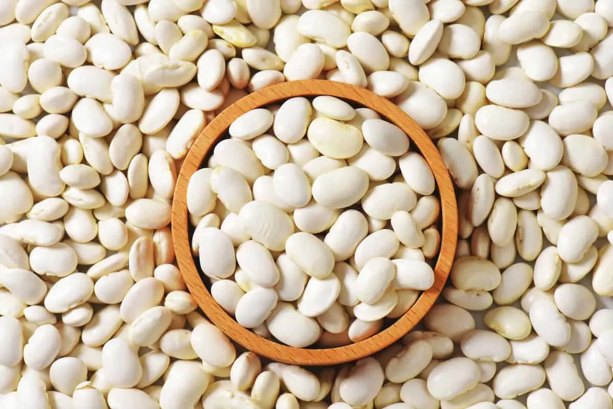 Small White Beans - The Differences