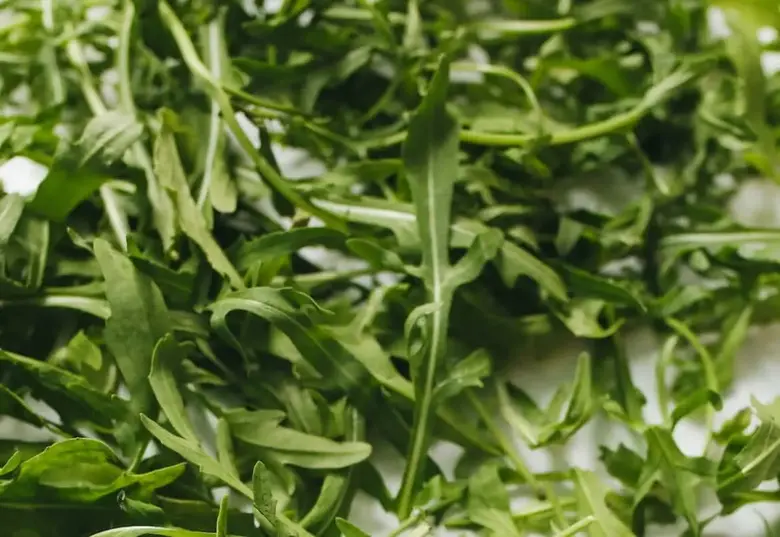 The 11 Best Arugula Substitutes