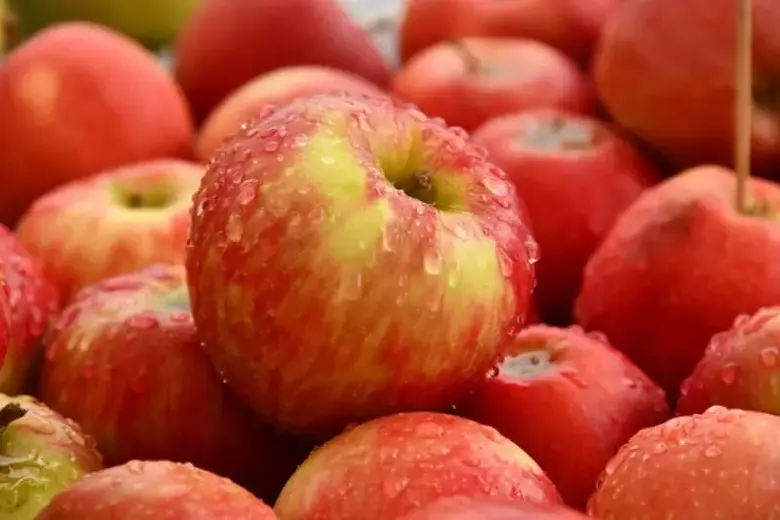 The 43 Sweetest Apples - The Ultimate Guide