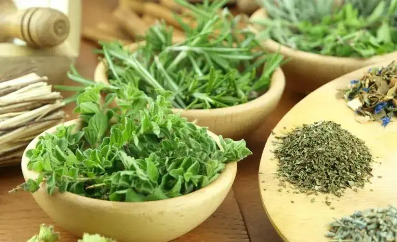 thyme vs. Oregano - What's the difference?