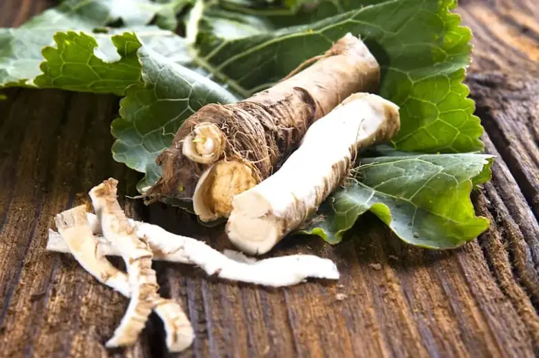 7 Best Horseradish Substitutes