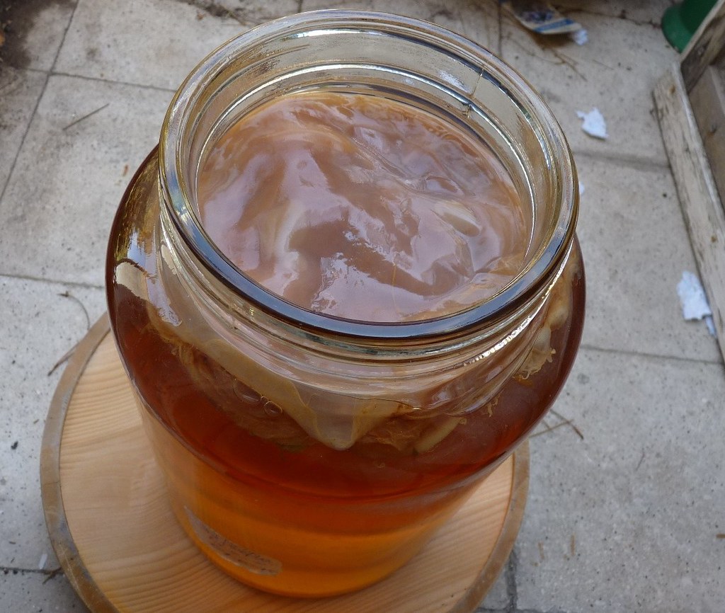 Can Kombucha be frozen? - The Ultimate Guide