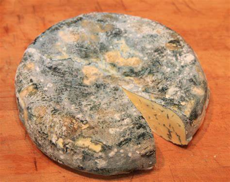 Can gorgonzola cheese be frozen?