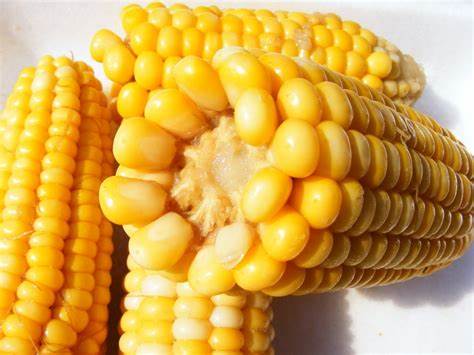 How to Reheat Corn on the Cob? - The 5 Best Ways