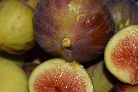 How to Store Figs? - The Definitive Guide