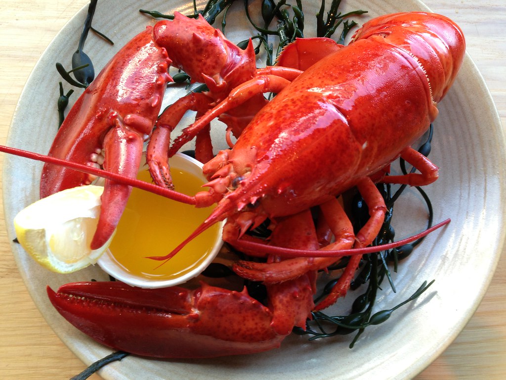 How to store lobsters before eating them?