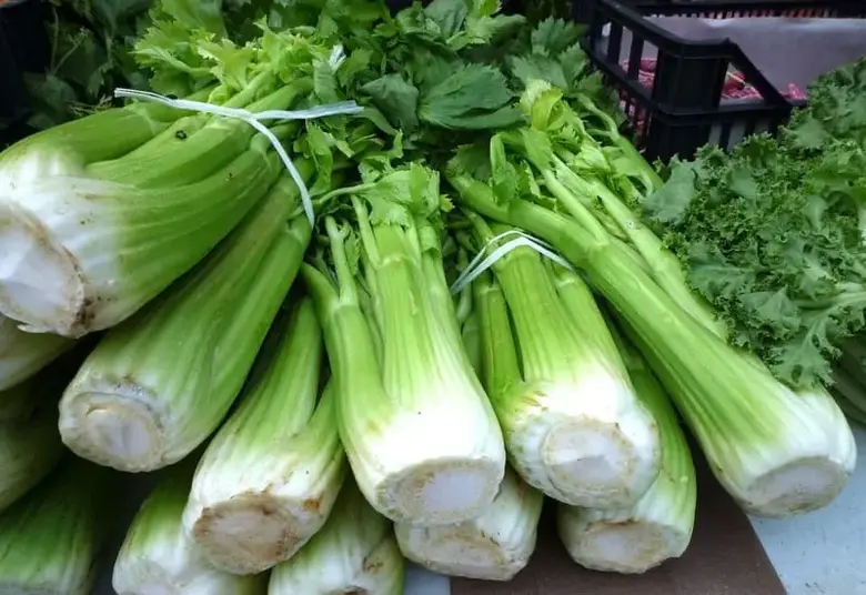 Best Celery Substitutes - Complete Guide
