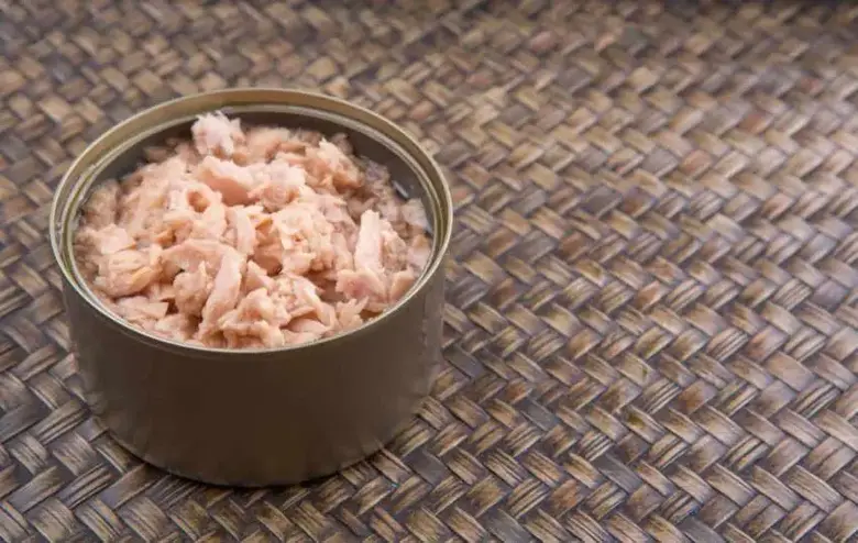 Can canned tuna be heated? - And other canned fish