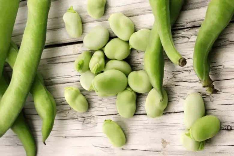How to freeze broad beans - The best way