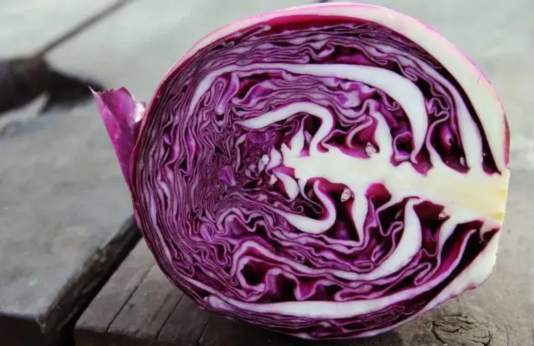 How to freeze cabbage - The best way