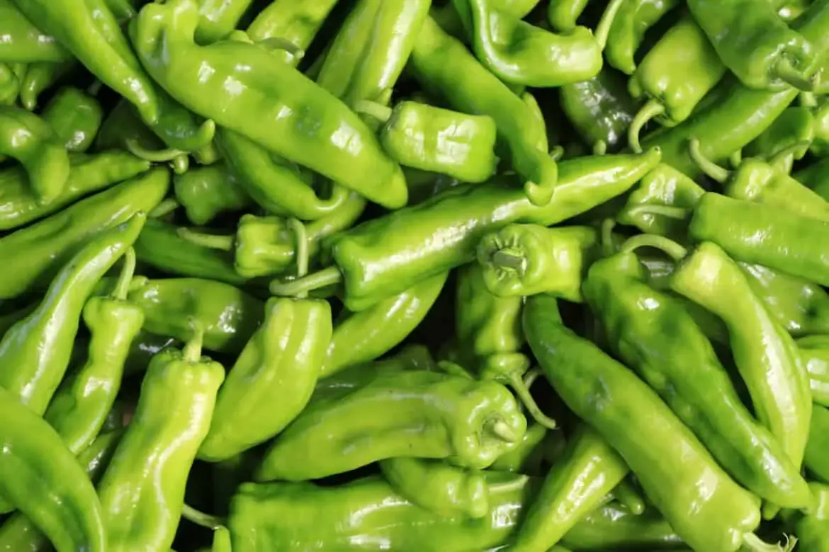 How to preserve green chiles - The best way