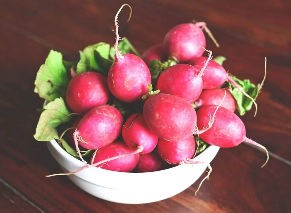 How To Store Radishes - The Complete Storage Guide